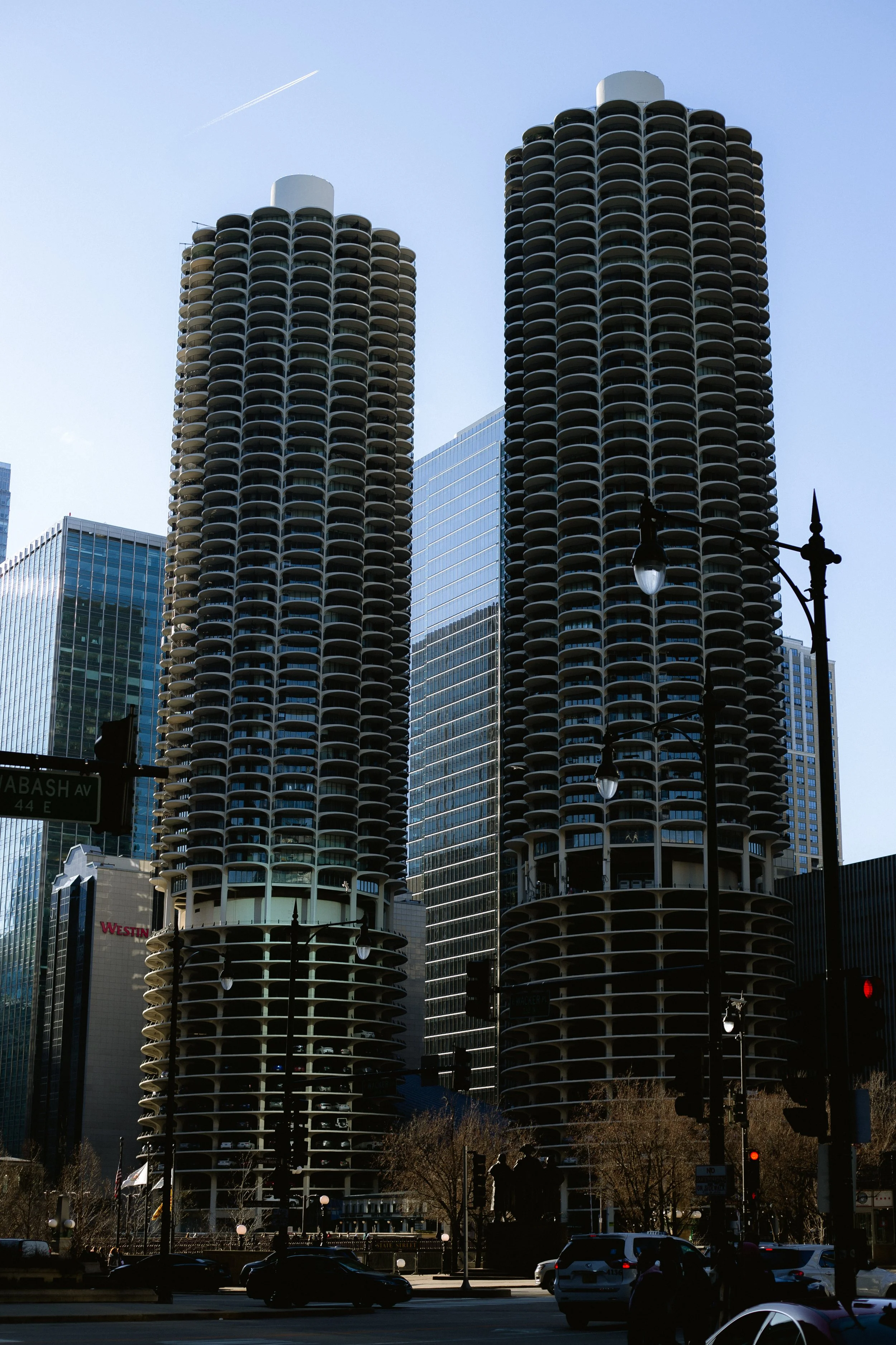 IMG_8447.jpg