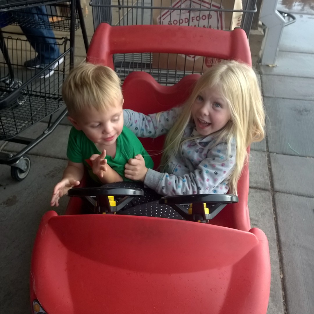 Whole Foods grocery run in the 'best' shopping cart ever