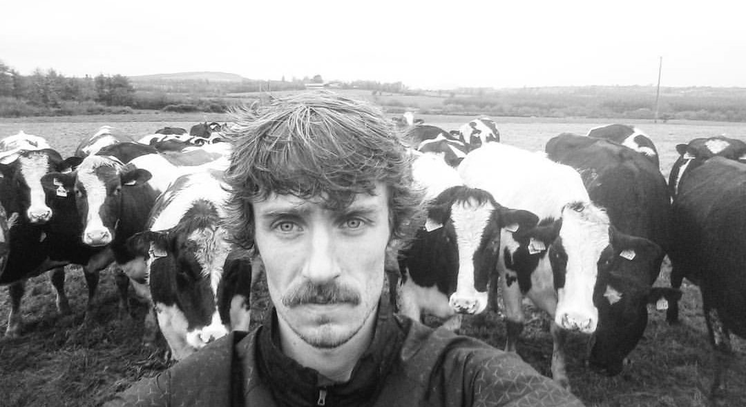 Hanging out with the family herd back in Ireland. Photo credit: my old broken Samsung