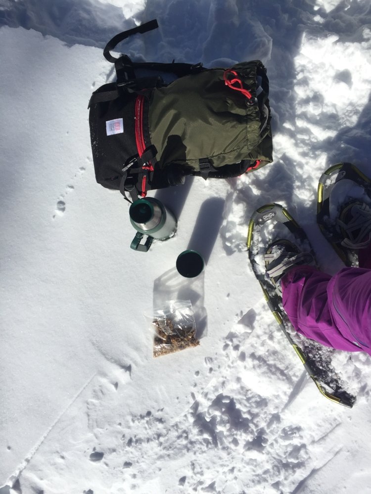 10 Traveling Athlete Nutrition Tips in 2021 bag