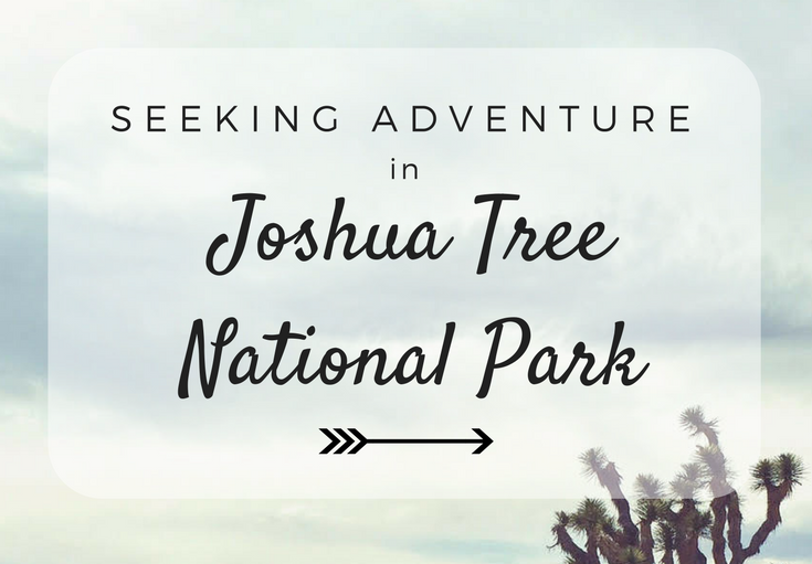Seeking Adventure in Joshua Tree National Park