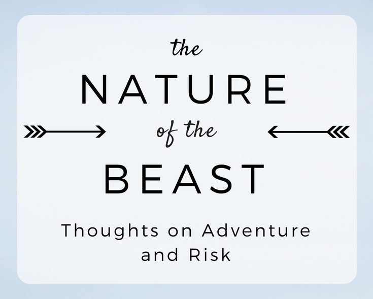 The Nature of the Beast: Thoughts on Adventure and Risk