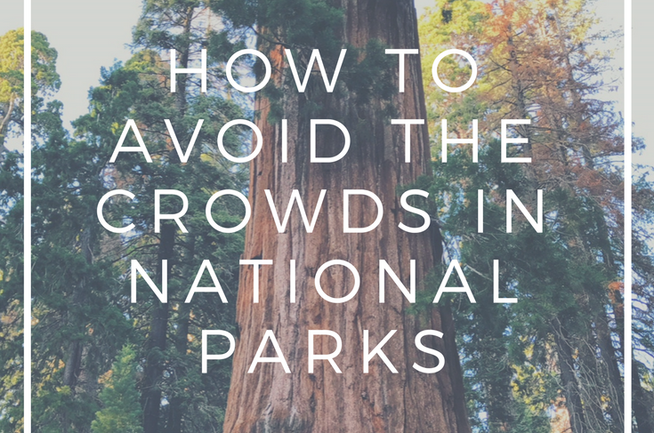 How to Avoid the Crowds in National Parks