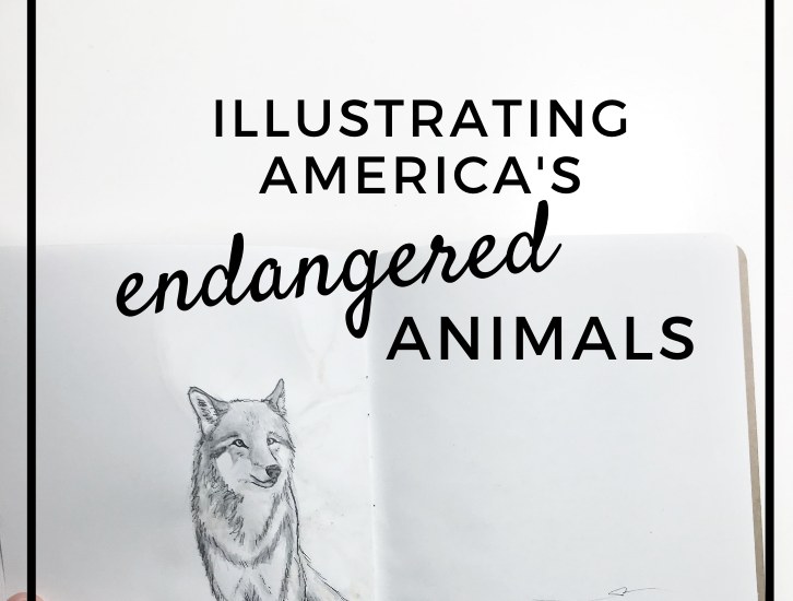 Illustrating America's Endangered Animals: The Sketchbook Project