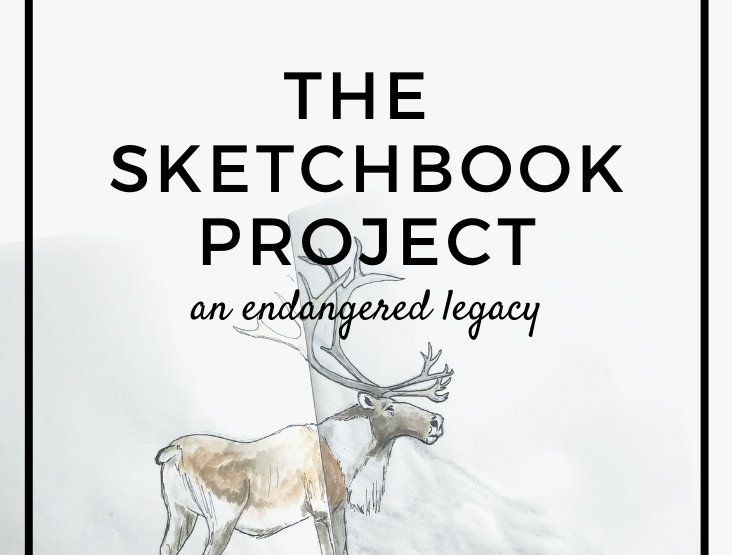 The Sketchbook Project: An Endangered Legacy