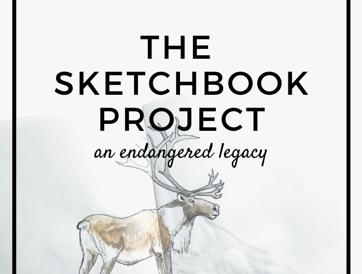 The Sketchbook Project: an Endangered Legacy