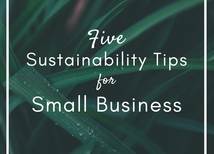 5 Sustainability Tips for Small Business