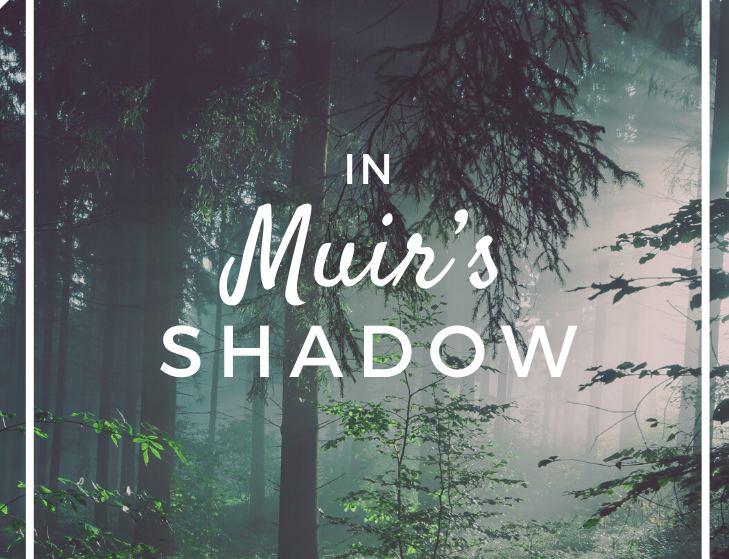 In Muir's Shadow