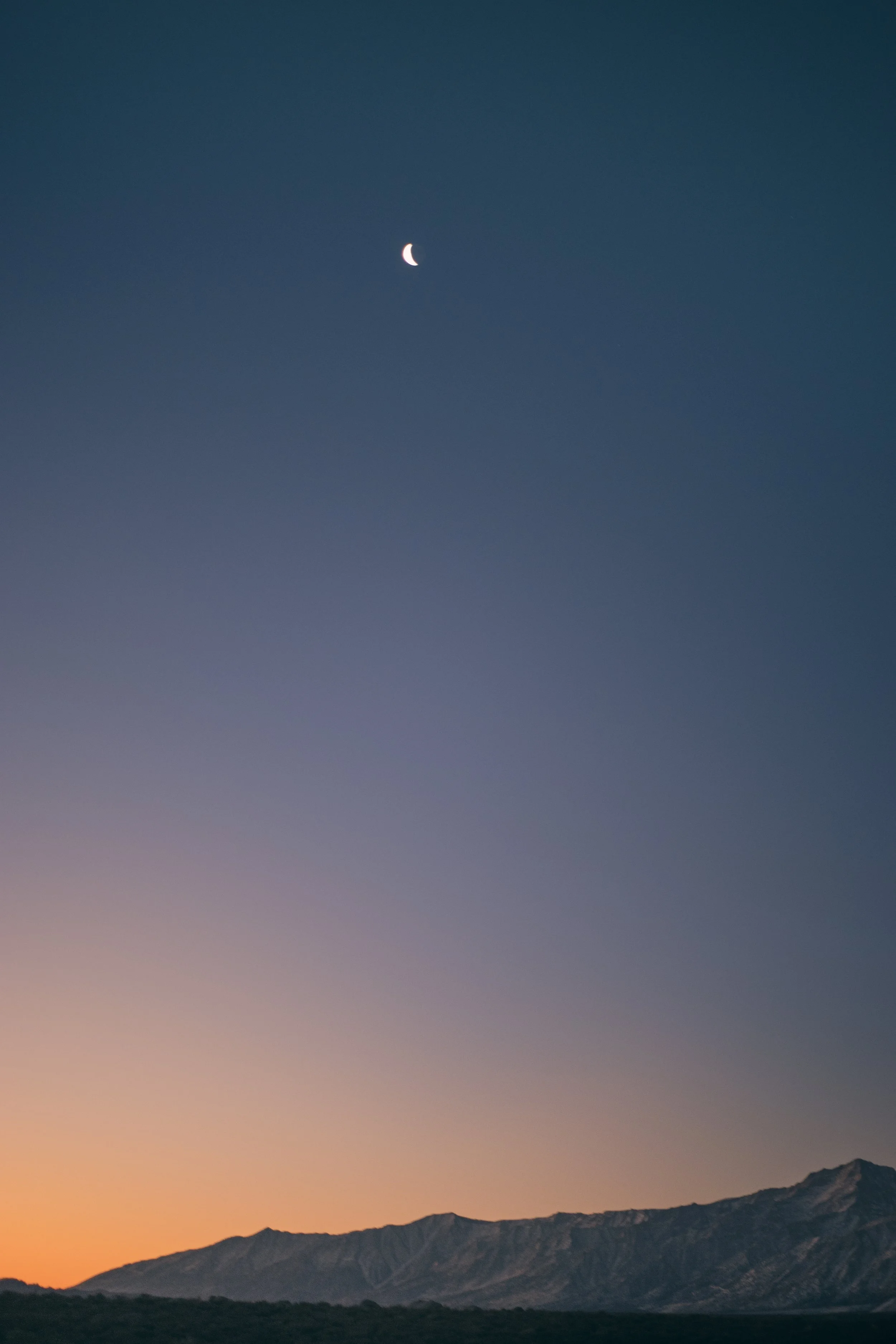 DSC08409-Edit.jpg
