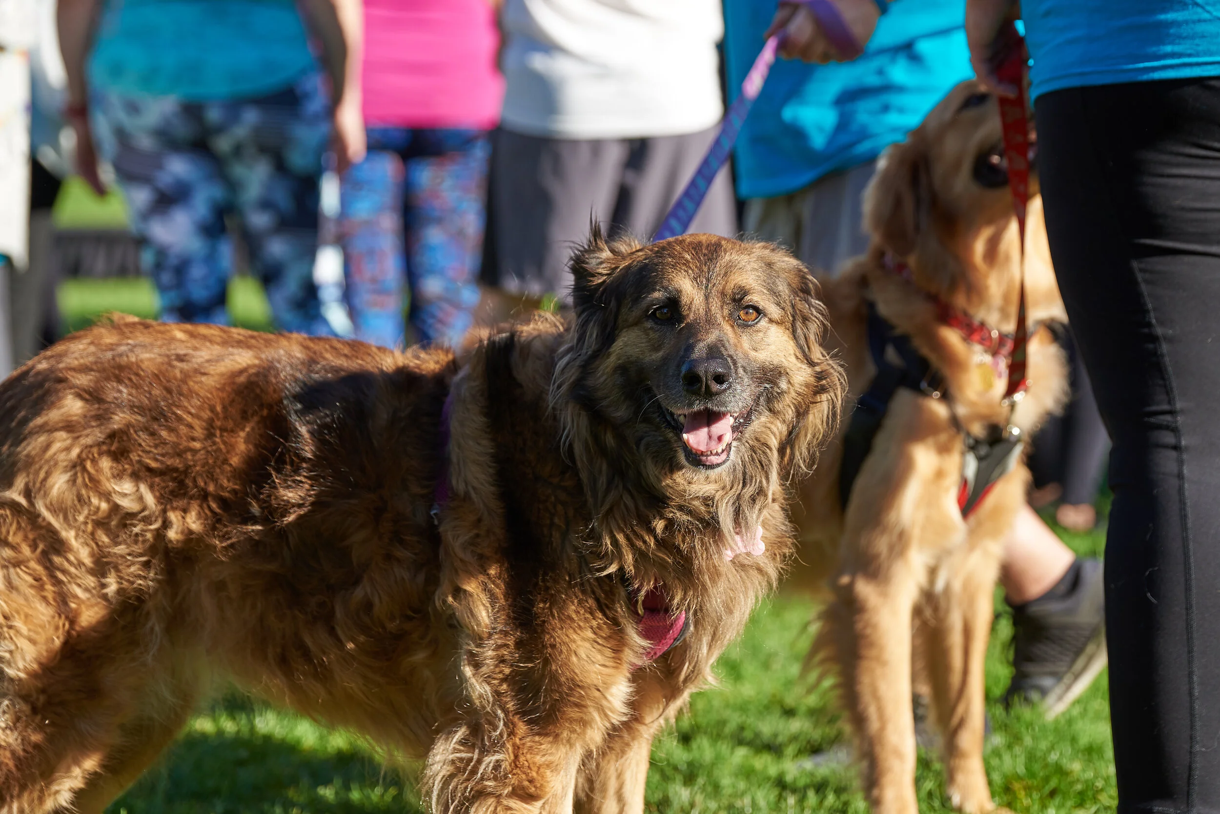 TealRun2019-44.jpg