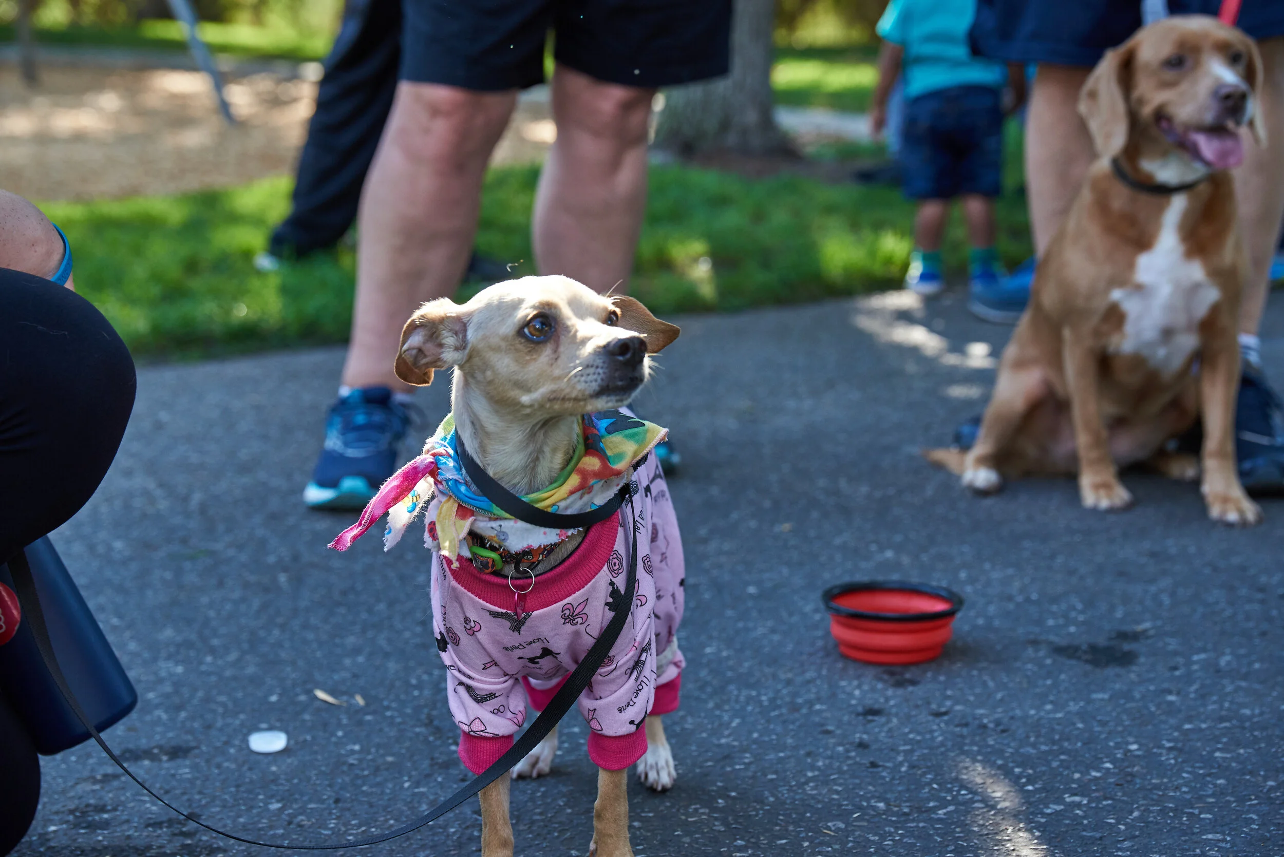 TealRun2019-113.jpg