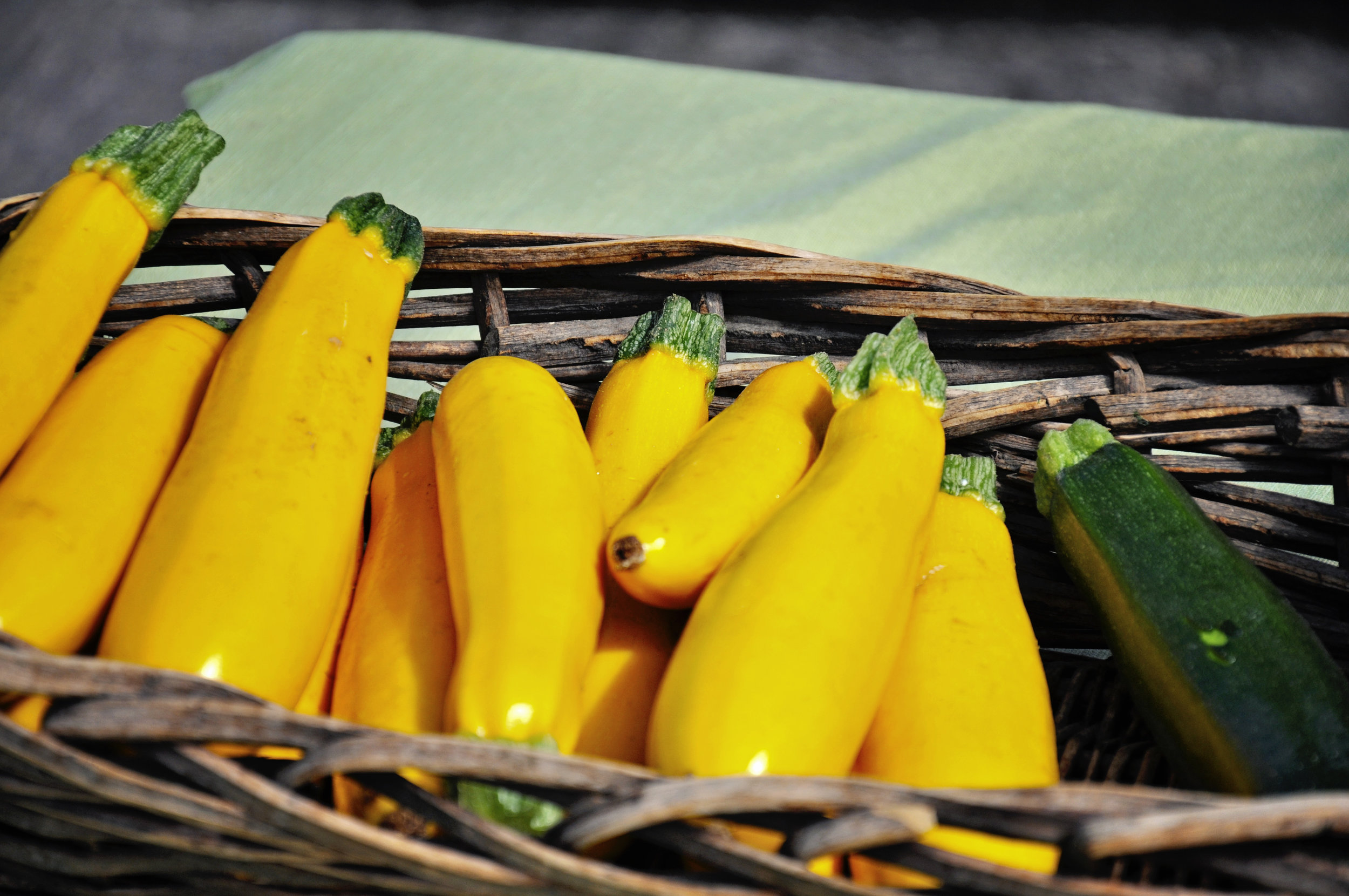 Fresh Farmers Market Squash and Zucchini