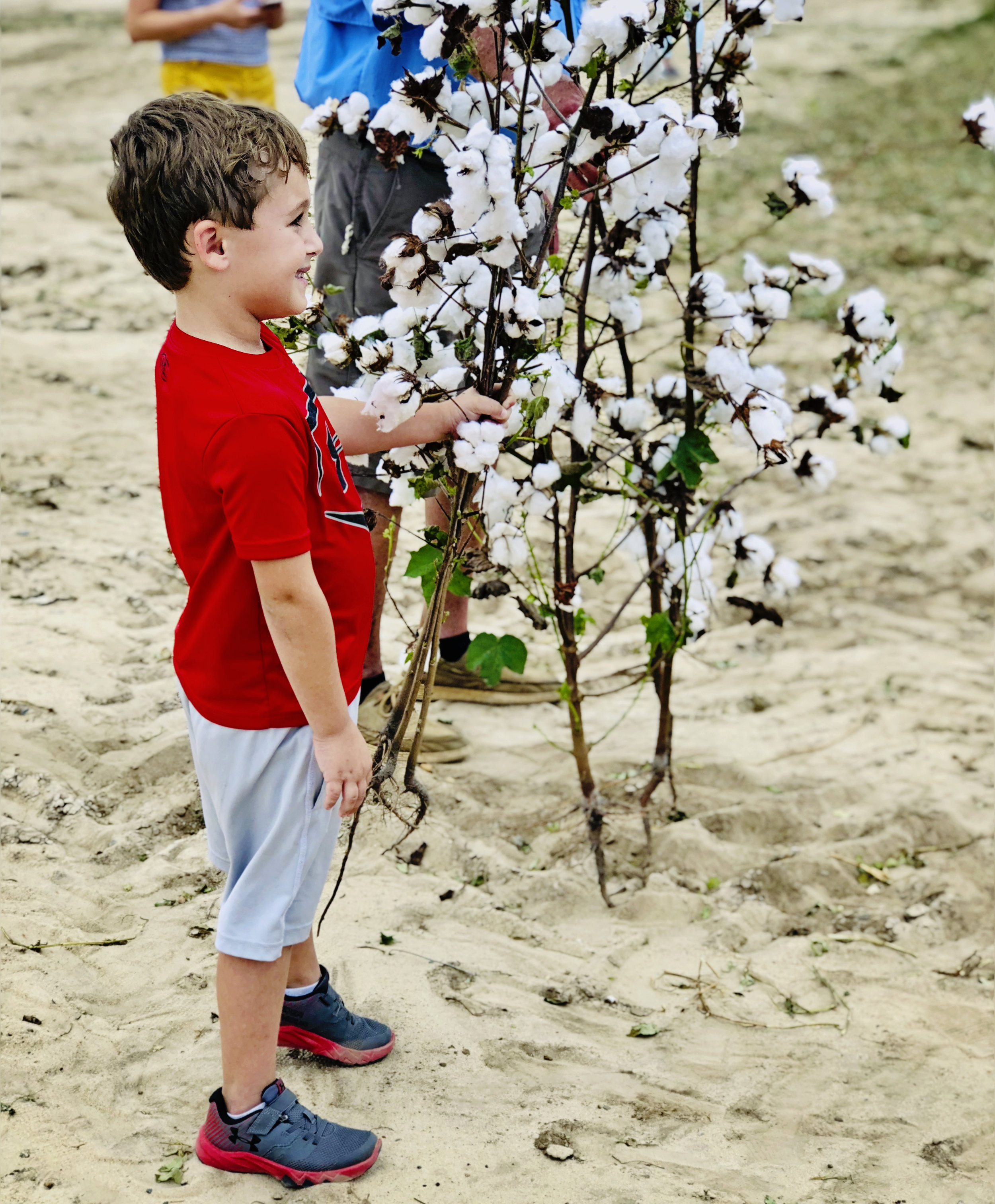 Next Generation Reed Farmer