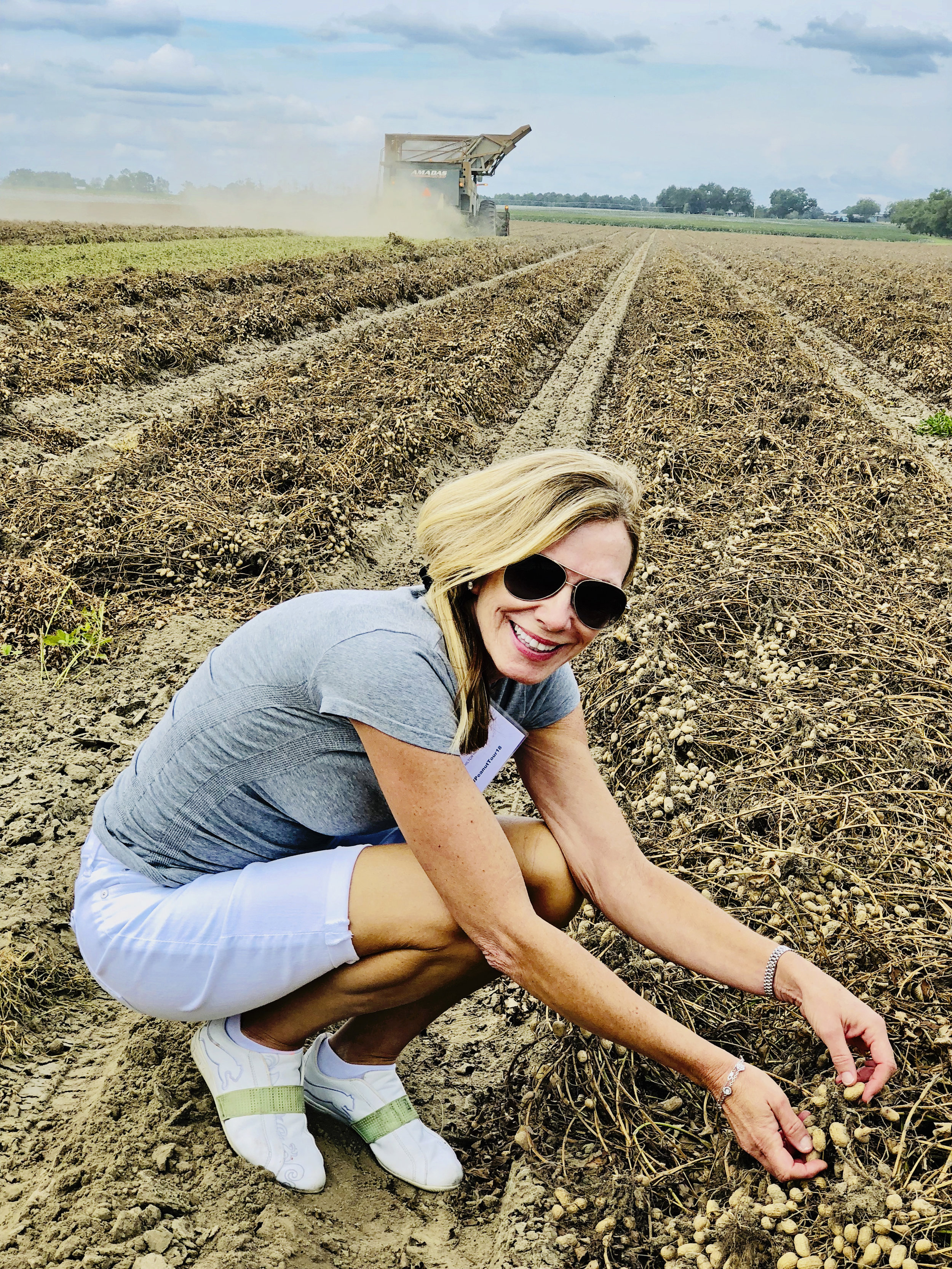 Harvesting Peanuts!