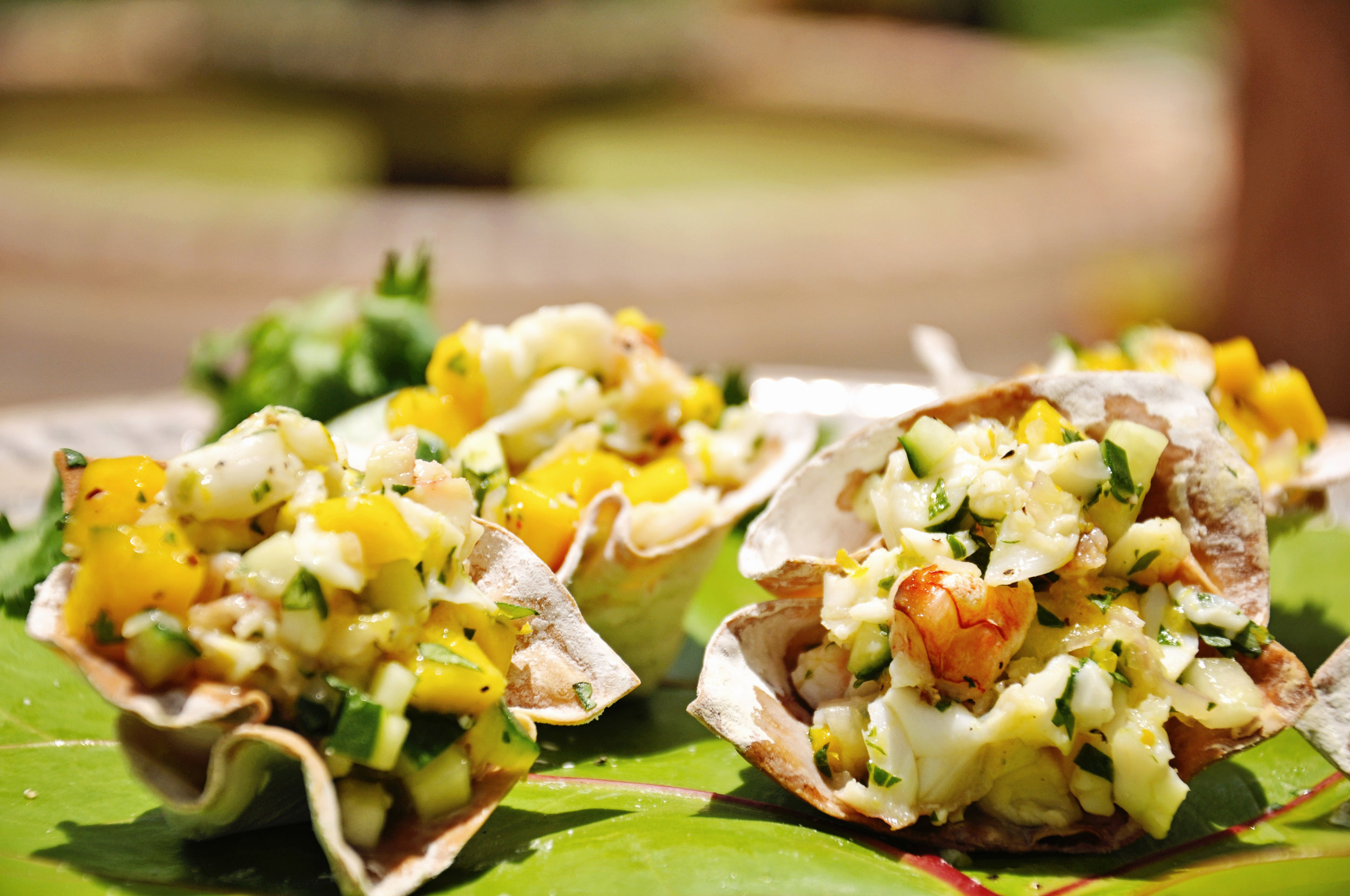 Shrimp or Lobster Wontons