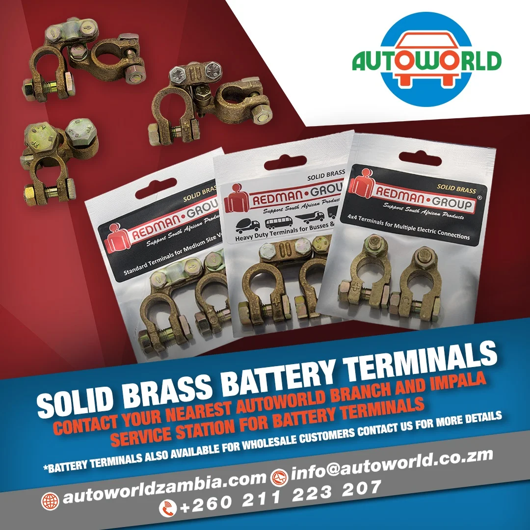 2019 -Redman battery terminals.jpg