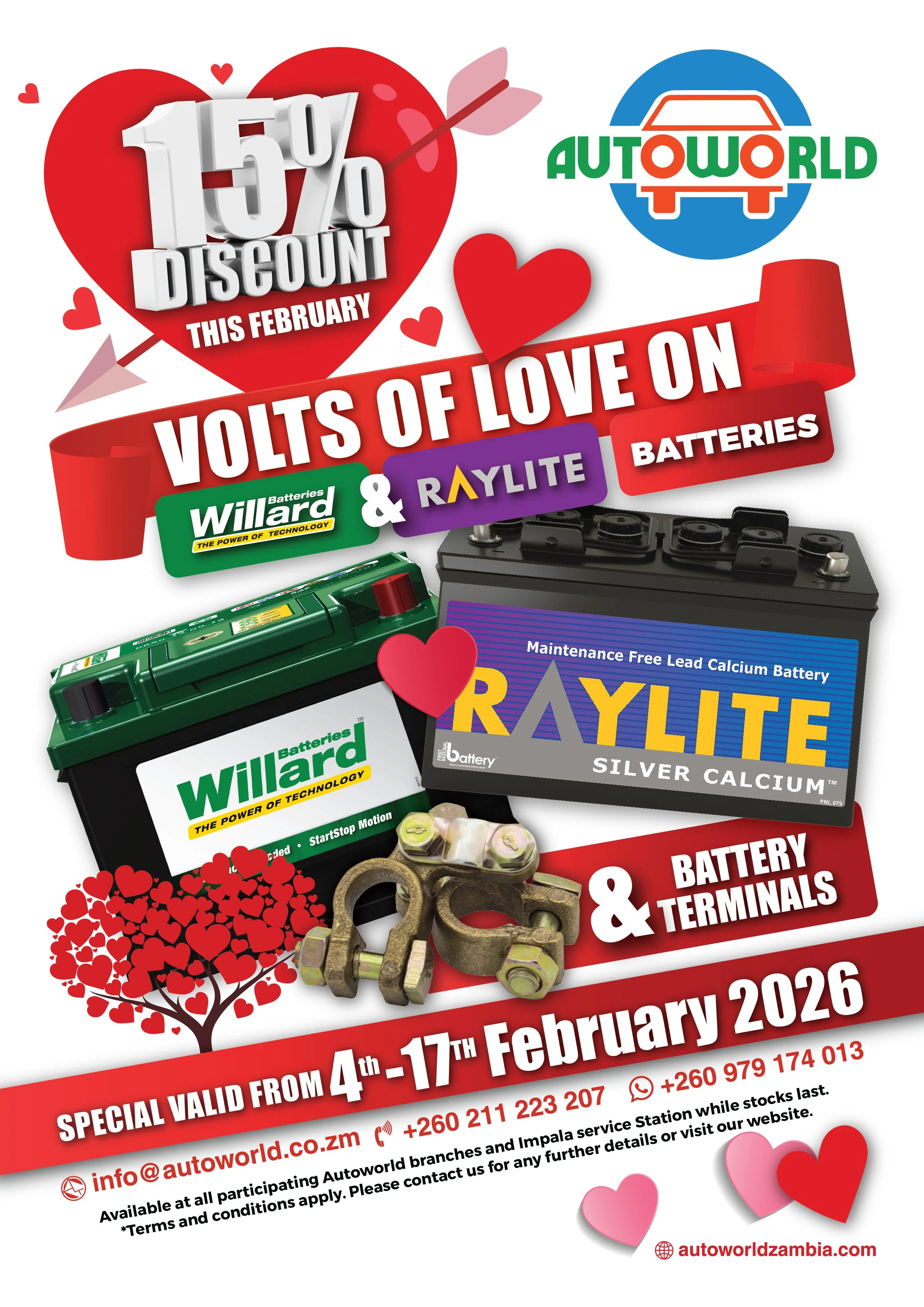 February Auto Battery Special