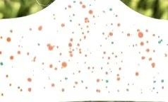 Orange Green & White Face Sparkles