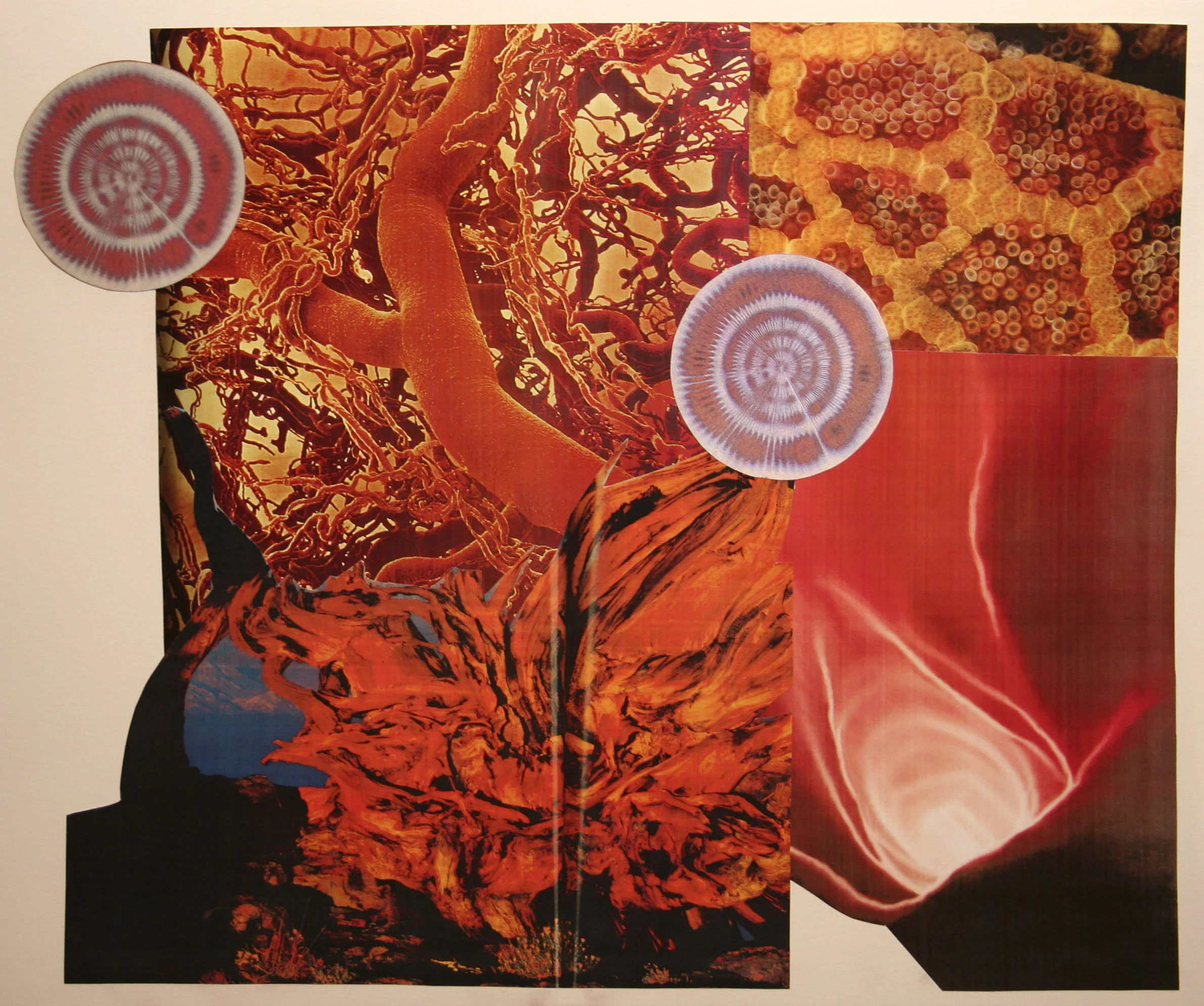 Tangled Web We Weave, collage on paper, 14" x 17", 2006