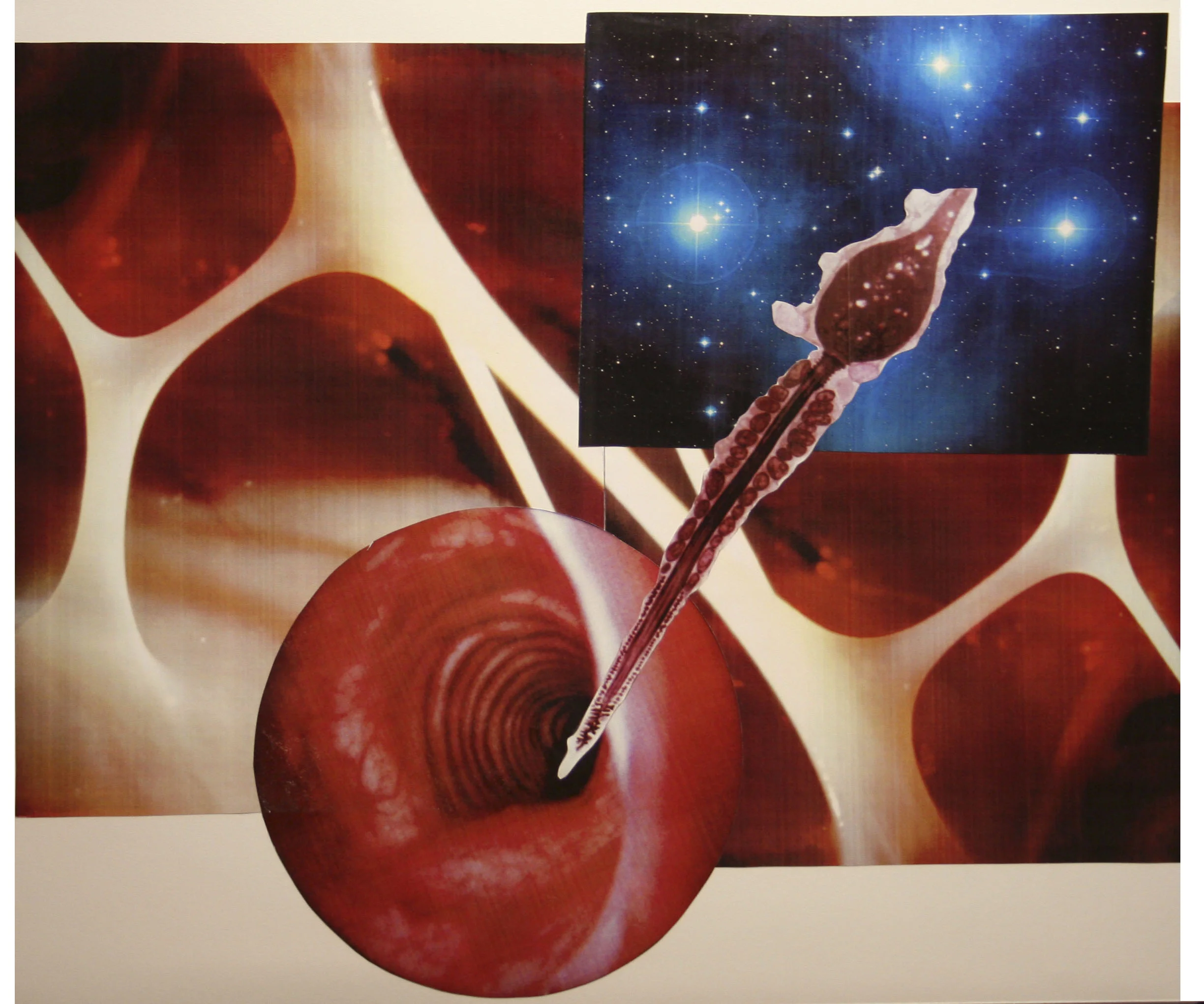 Human Rocketship, collage on paper, 14" x 17", 2006