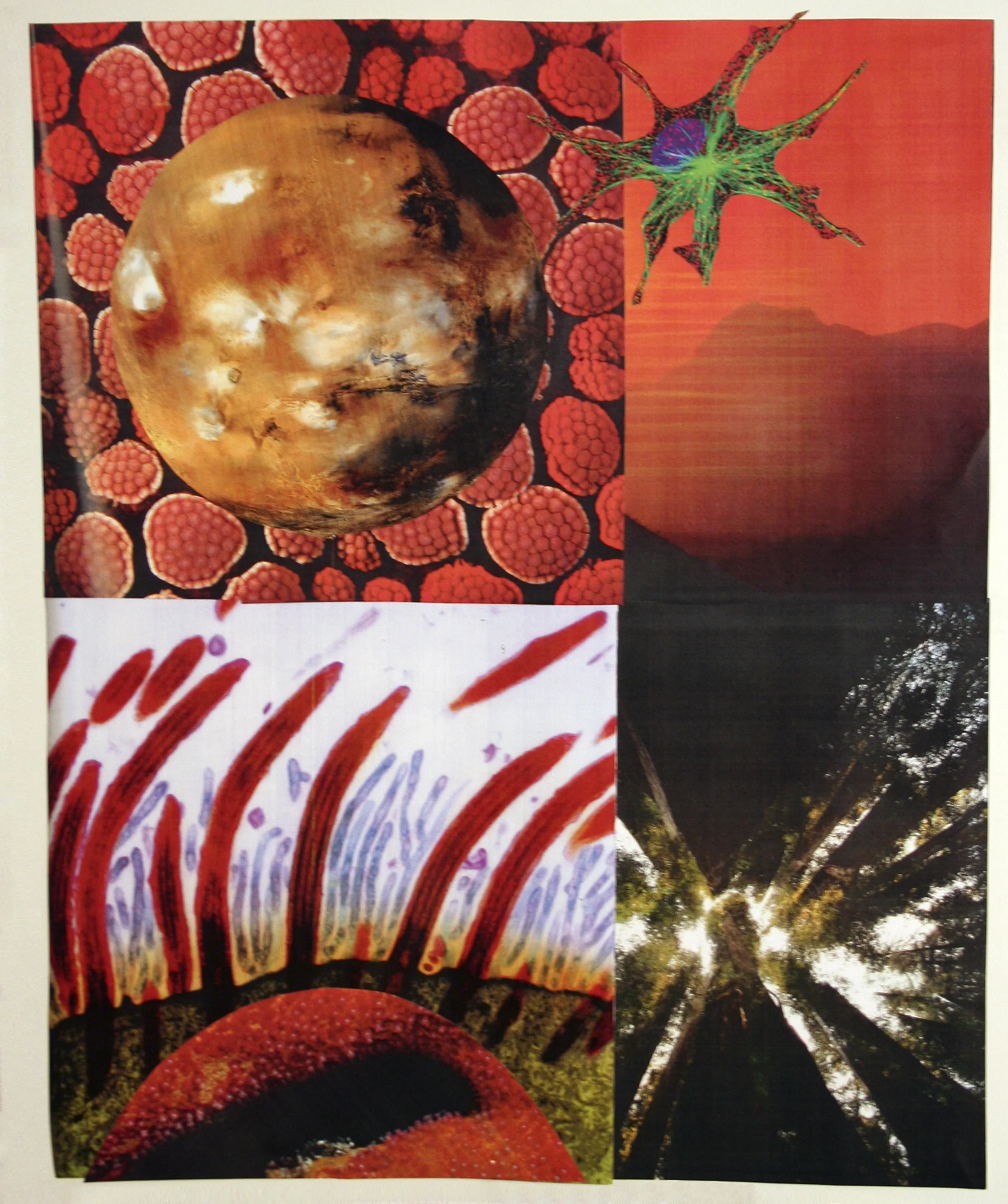 Visions, collage on paper, 14" x 17", 2006