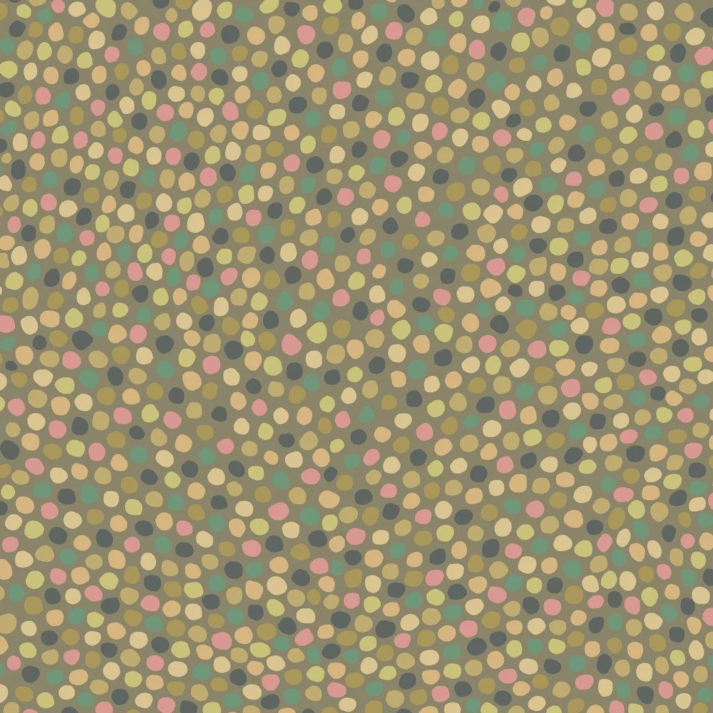 D933 Dotsy