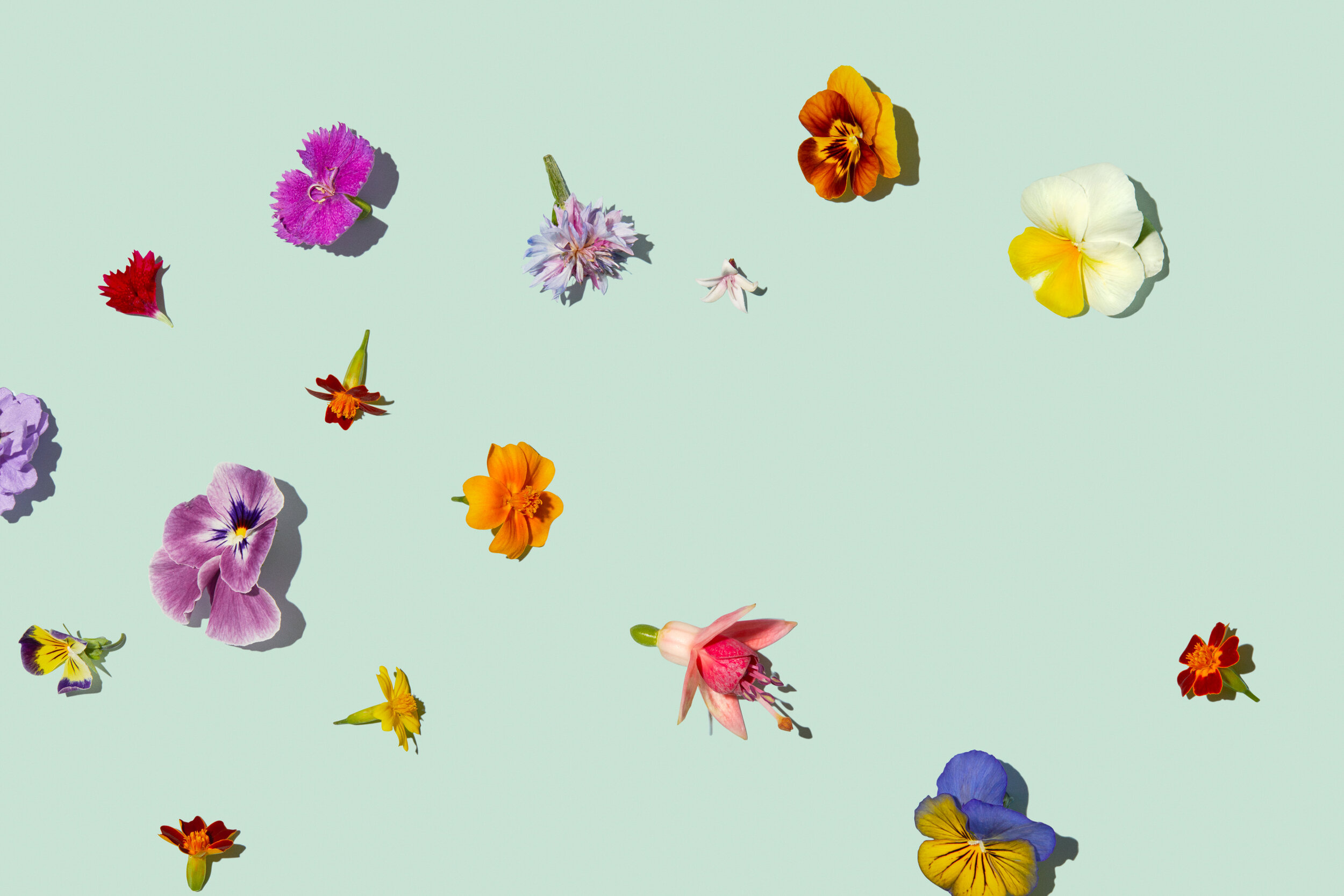 SHOT 16_018_Beauty_005_v2.JPG