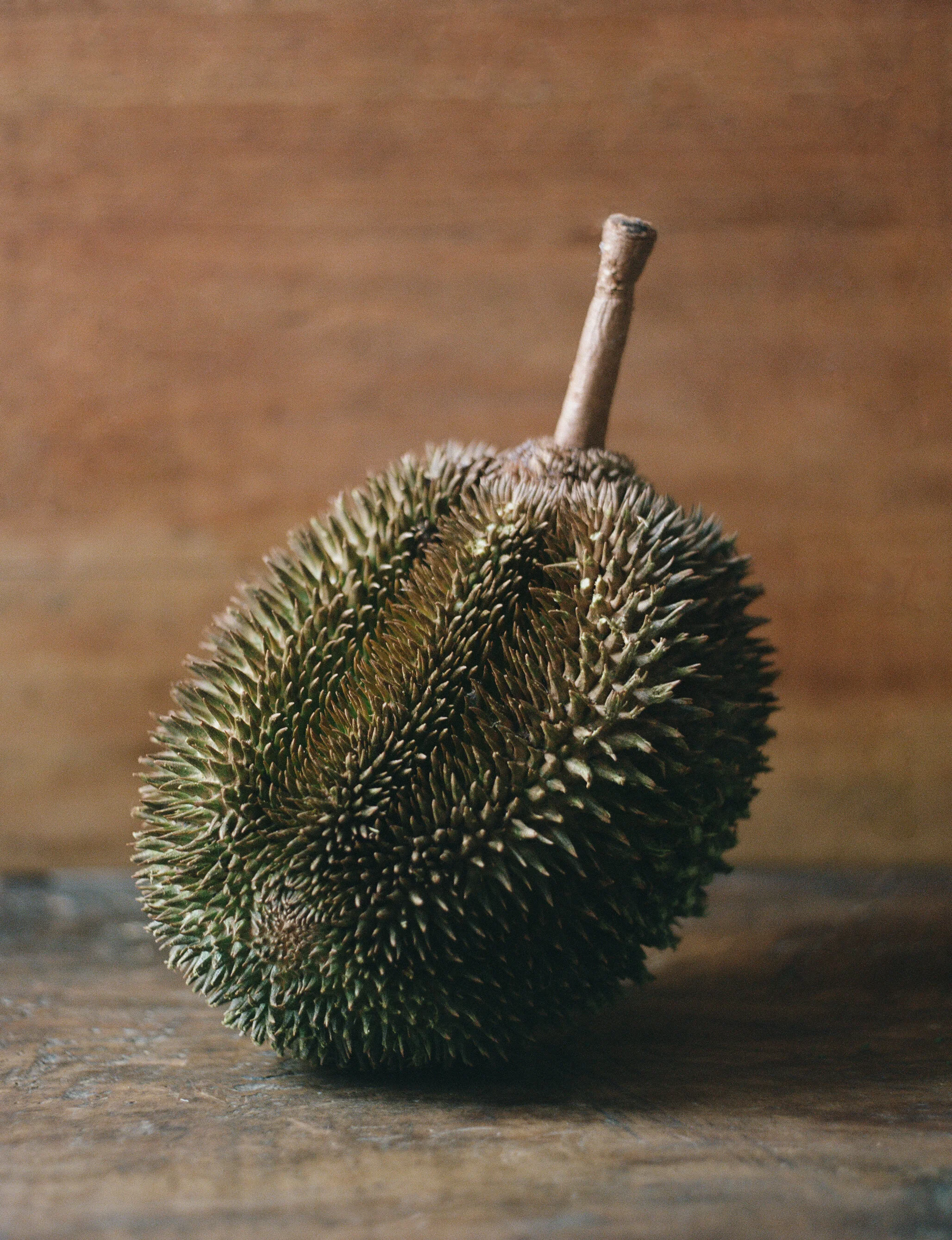 DURIAN.jpg