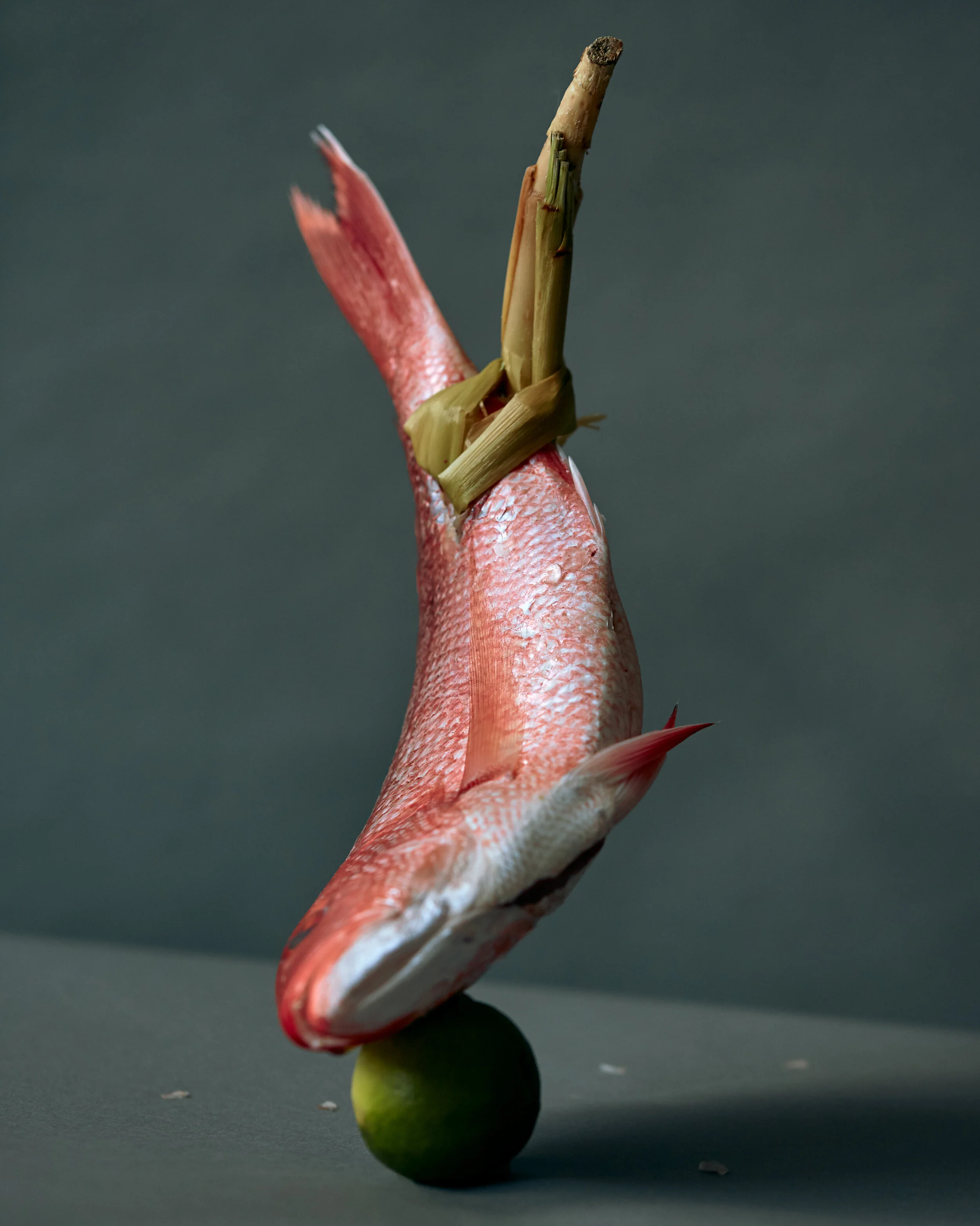 FISH AND LIME.jpg