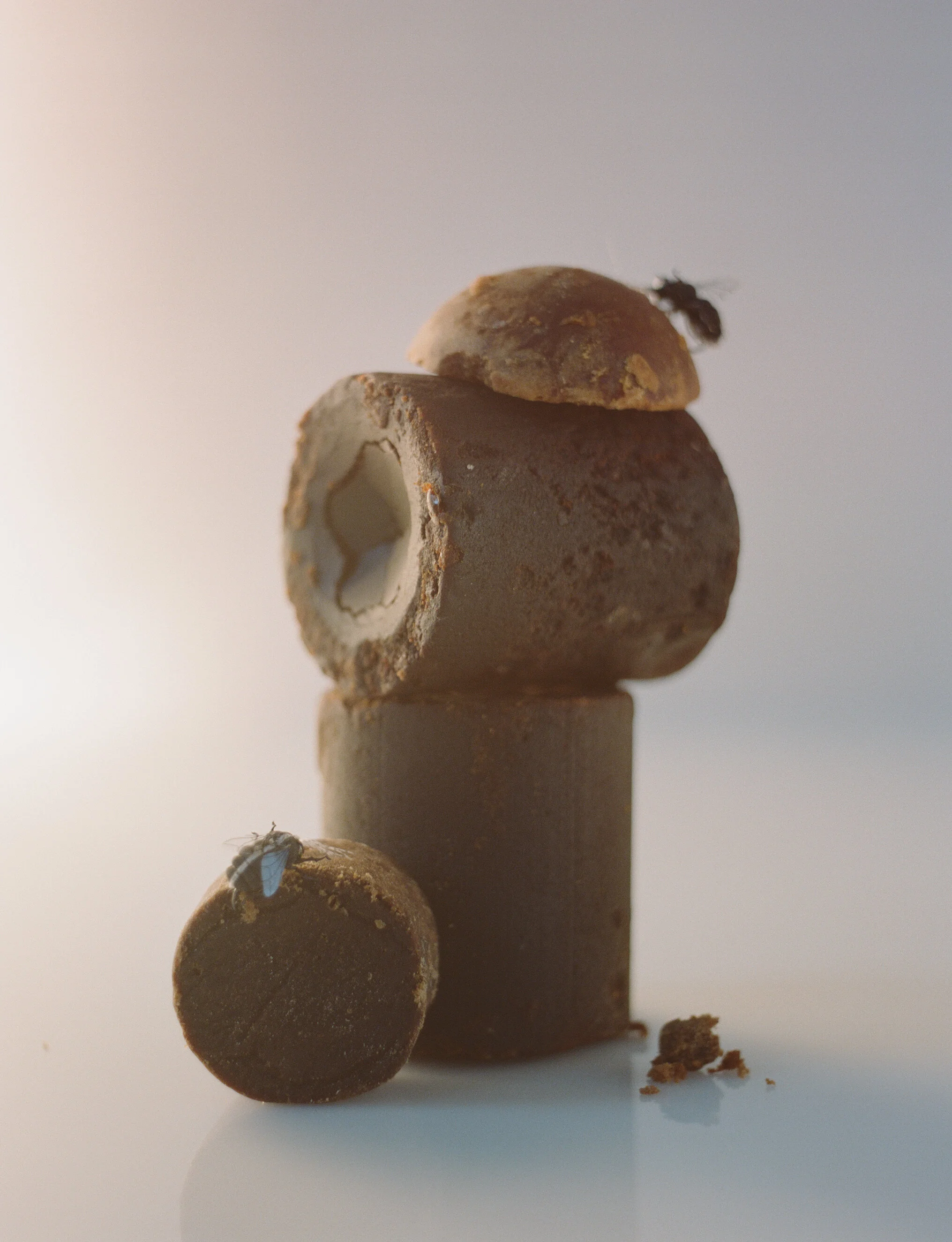 PALM SUGAR.jpg