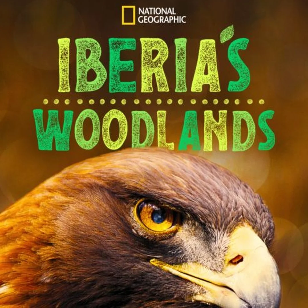 IBERIA WOODLANDS SQUARE_1.4.1.jpg