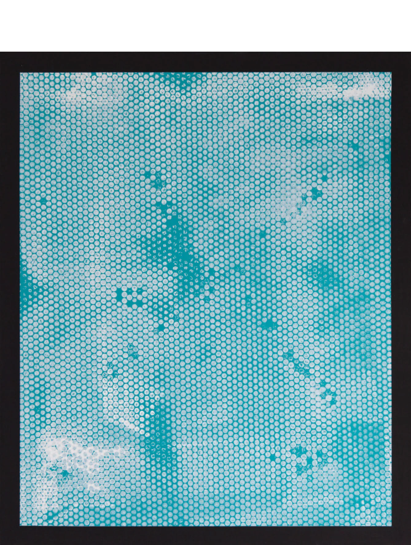 Thursday Talk, 2014 Acrylic on canvas 40 x 40 inches