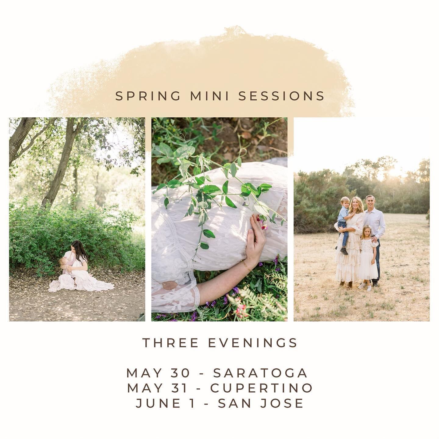 Hello my loves! 

Summer is on the horizon and I really want to get in some spring shooting! You guys asked for minis (I get it!) so I&rsquo;m answering &hellip; I don&rsquo;t do these often so if this is your preferred price point and time commitmen