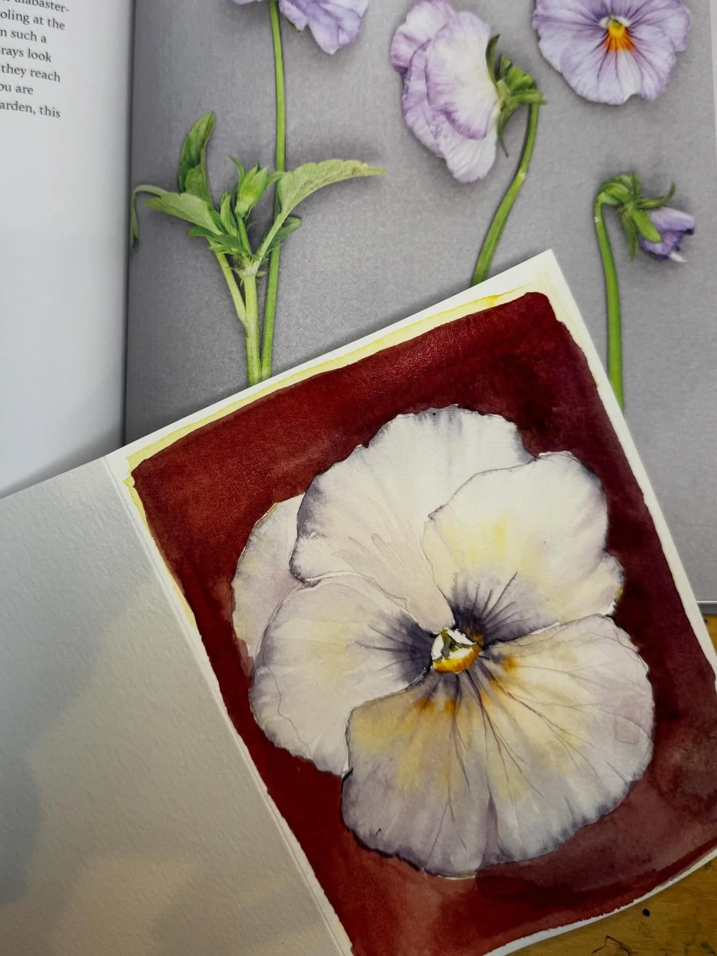 Messing around in the studio this moody Sunday. I&rsquo;ve never felt as though I&rsquo;ve mastered these sweet pansy&rsquo;s and I keep revisiting them like I&rsquo;m being haunted. 

So much that I made them the subject of my Brush + Bloom series I