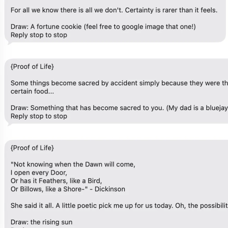 As the creator of @the.proofoflife I am also a subscriber of it. I preload months in advance and have no idea which prompts are going to drop into my own phone when and so frequently it just so happens that they are precisely the perspective I need w
