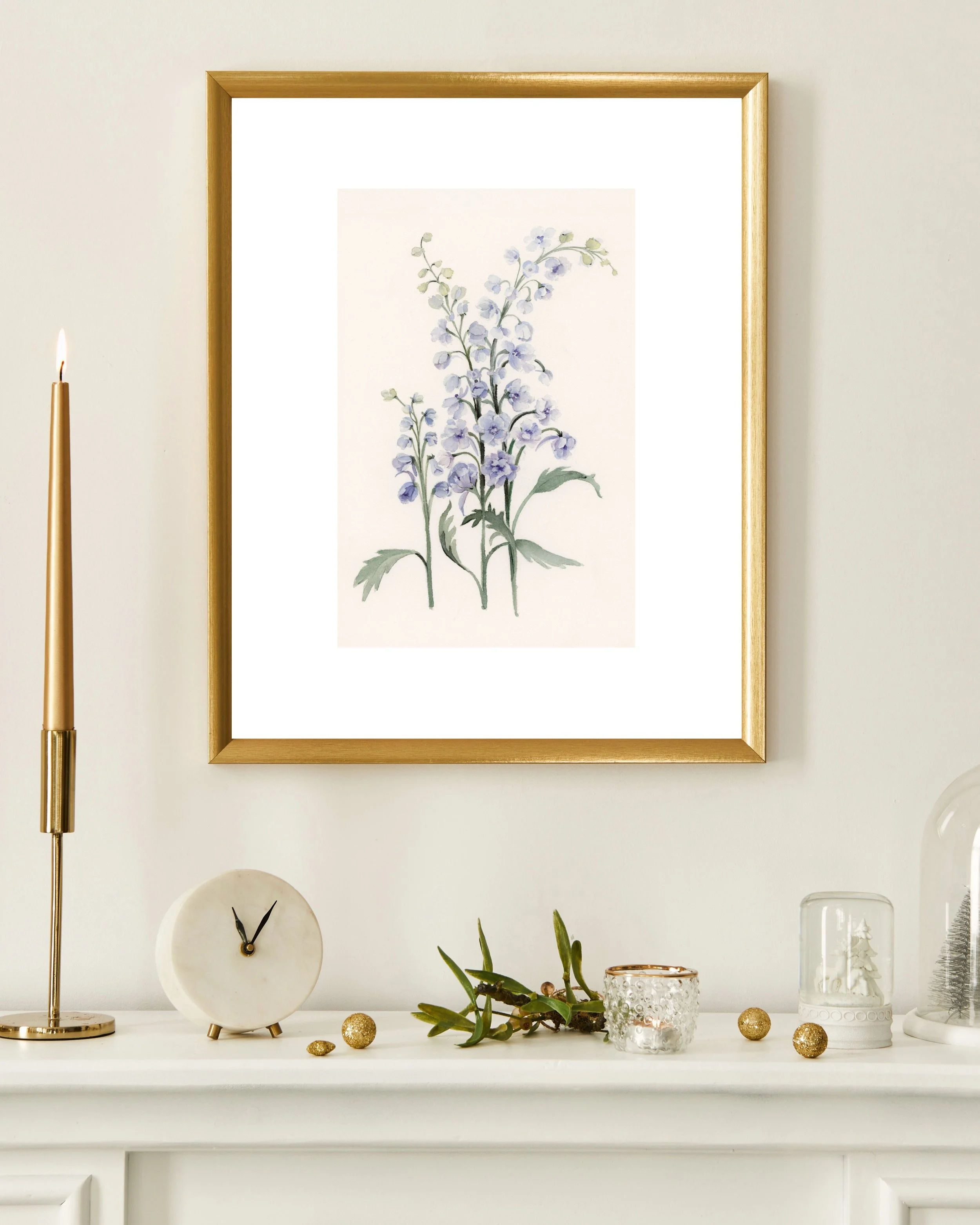 Larkspur_July.jpg