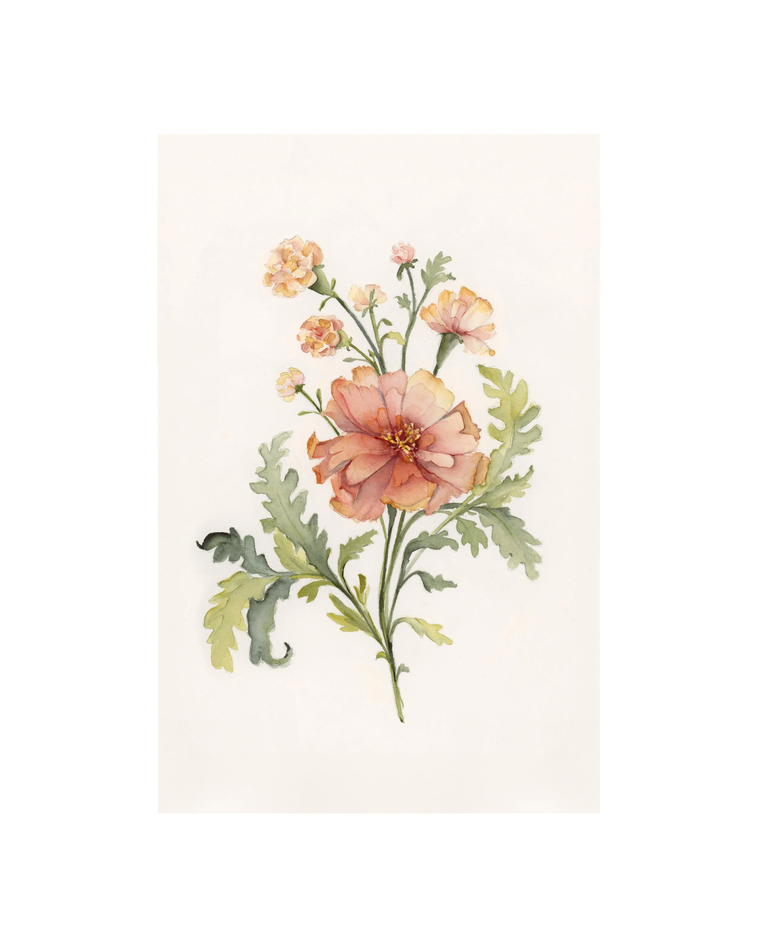 Marigold | October | Birth Month Flower