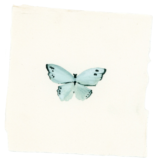 Watercolor painting of a light blue butterfly with black spots on white background.