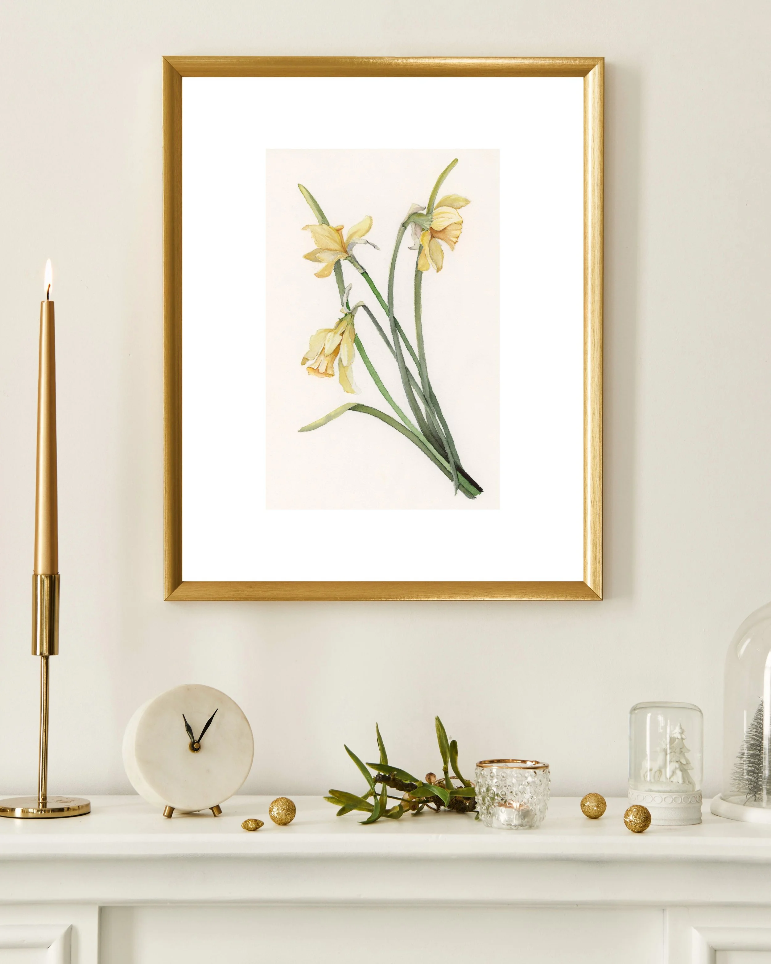Daffodil_March.jpg