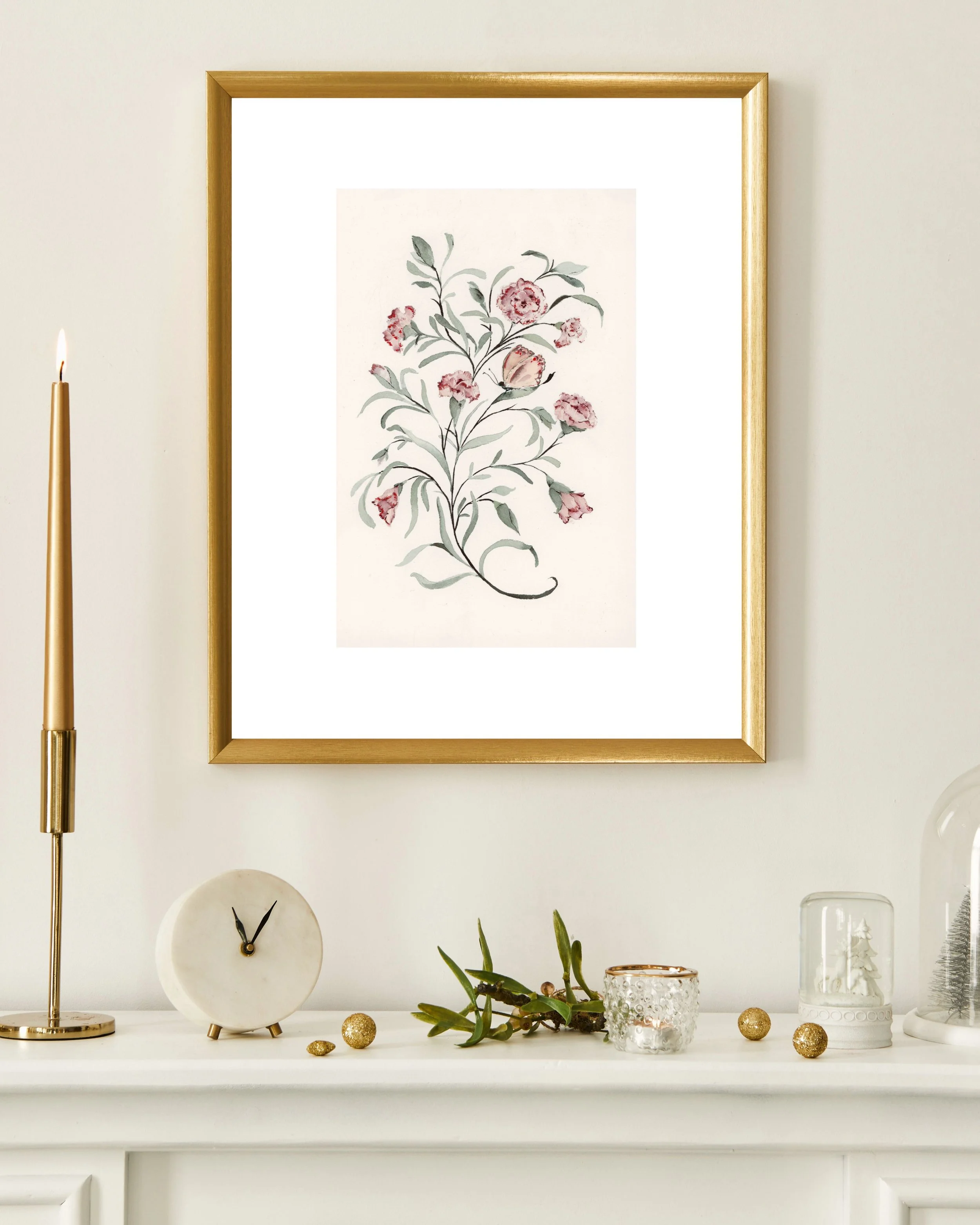 Carnation_January.jpg