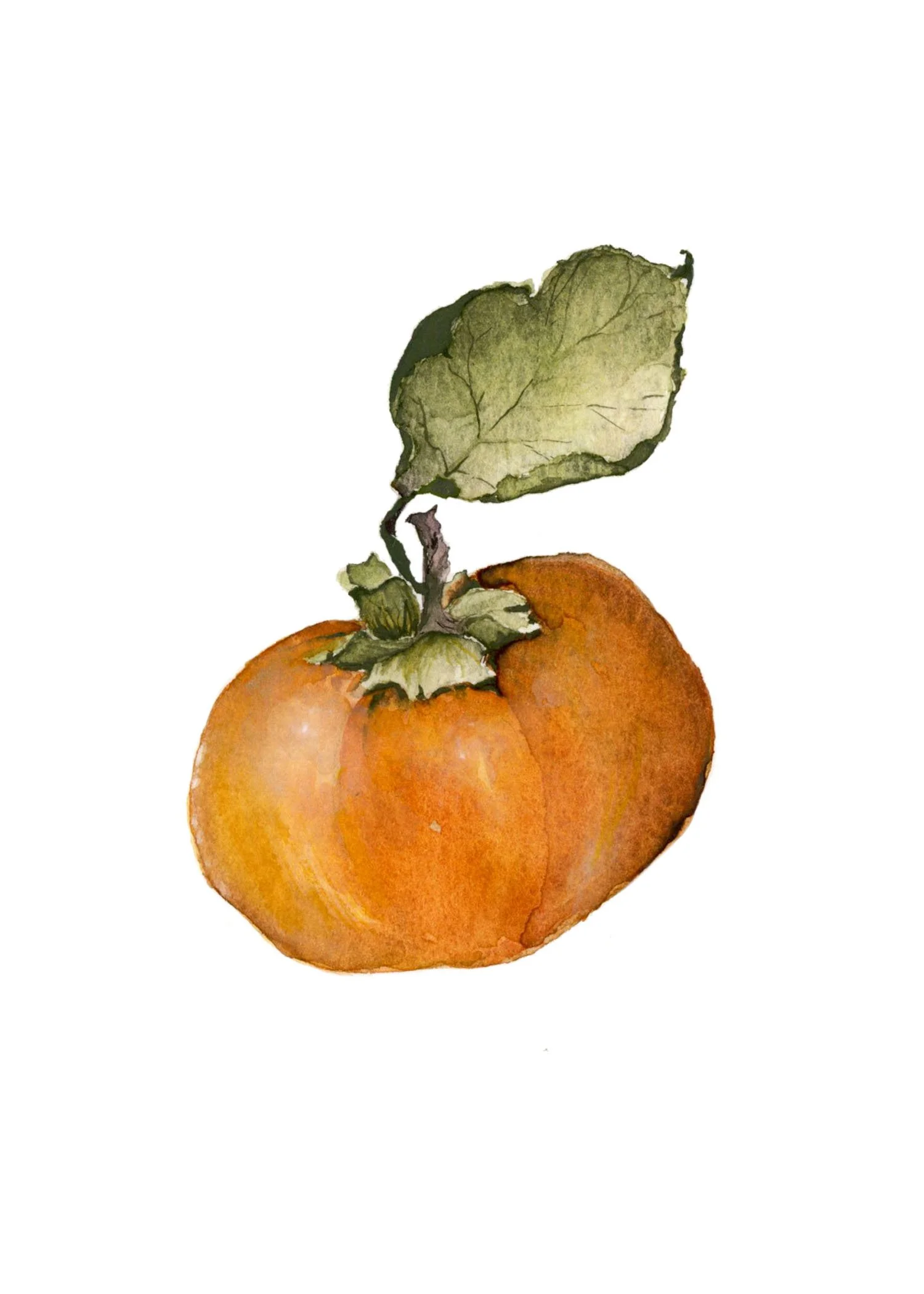 Watercolor painting of an orange persimmon with a green leaf attached to the stem.