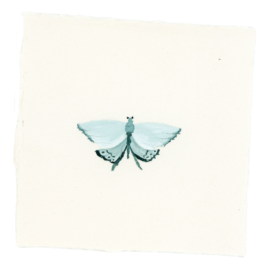A watercolor painting of a blue butterfly with black markings on its wings, centered on a white background.