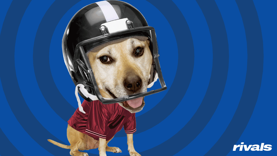rivals_dog_16x9.gif