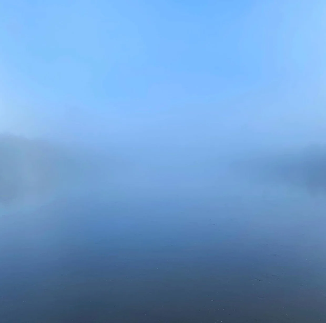 Douglas Piccinnini, American Poet