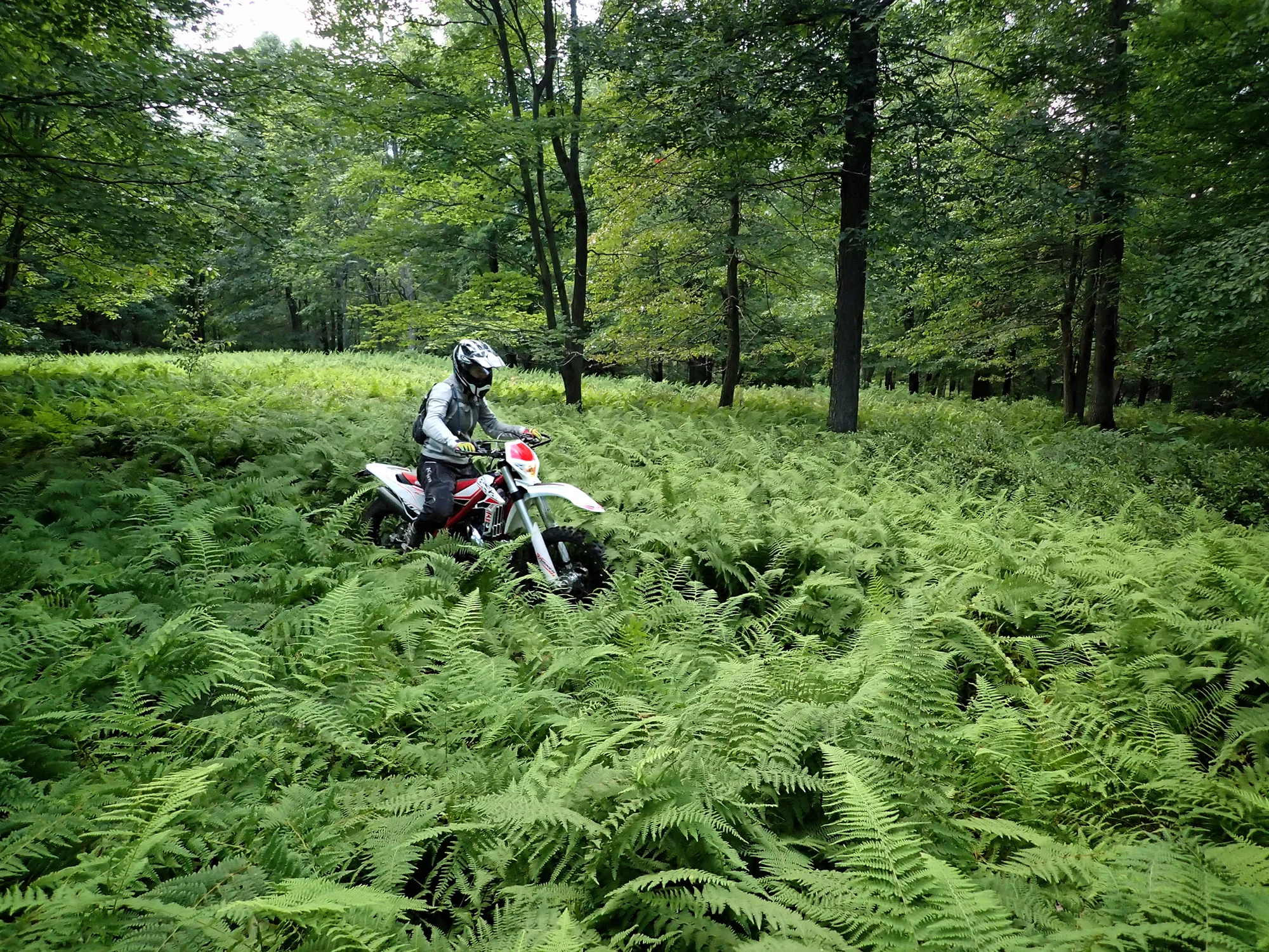 Riding the Seven Mountains Conservation Corp’s (SMCC) Trails (and bike) near State College, PA.