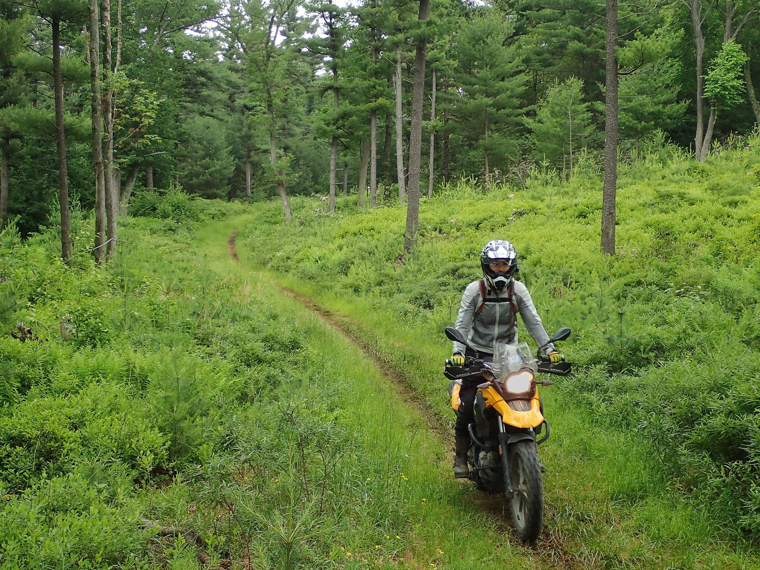The early days of off-road for me in Bald Eagle State Forest, PA on my BMW 650GS.
