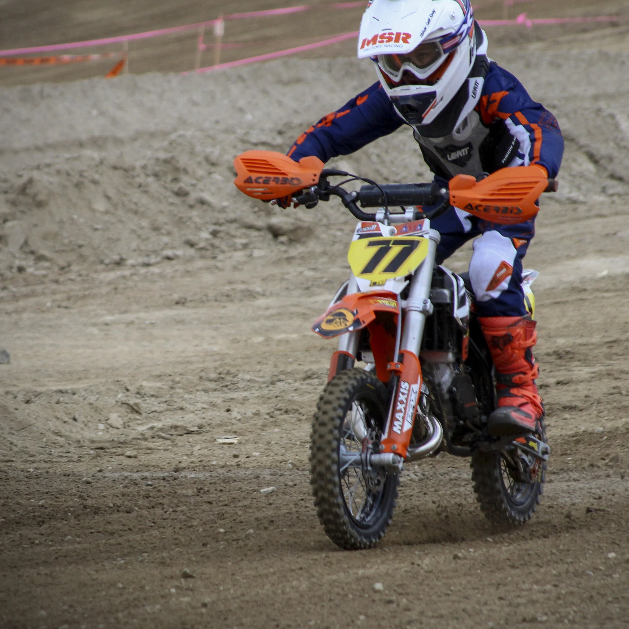 IMG_1224_1.jpg