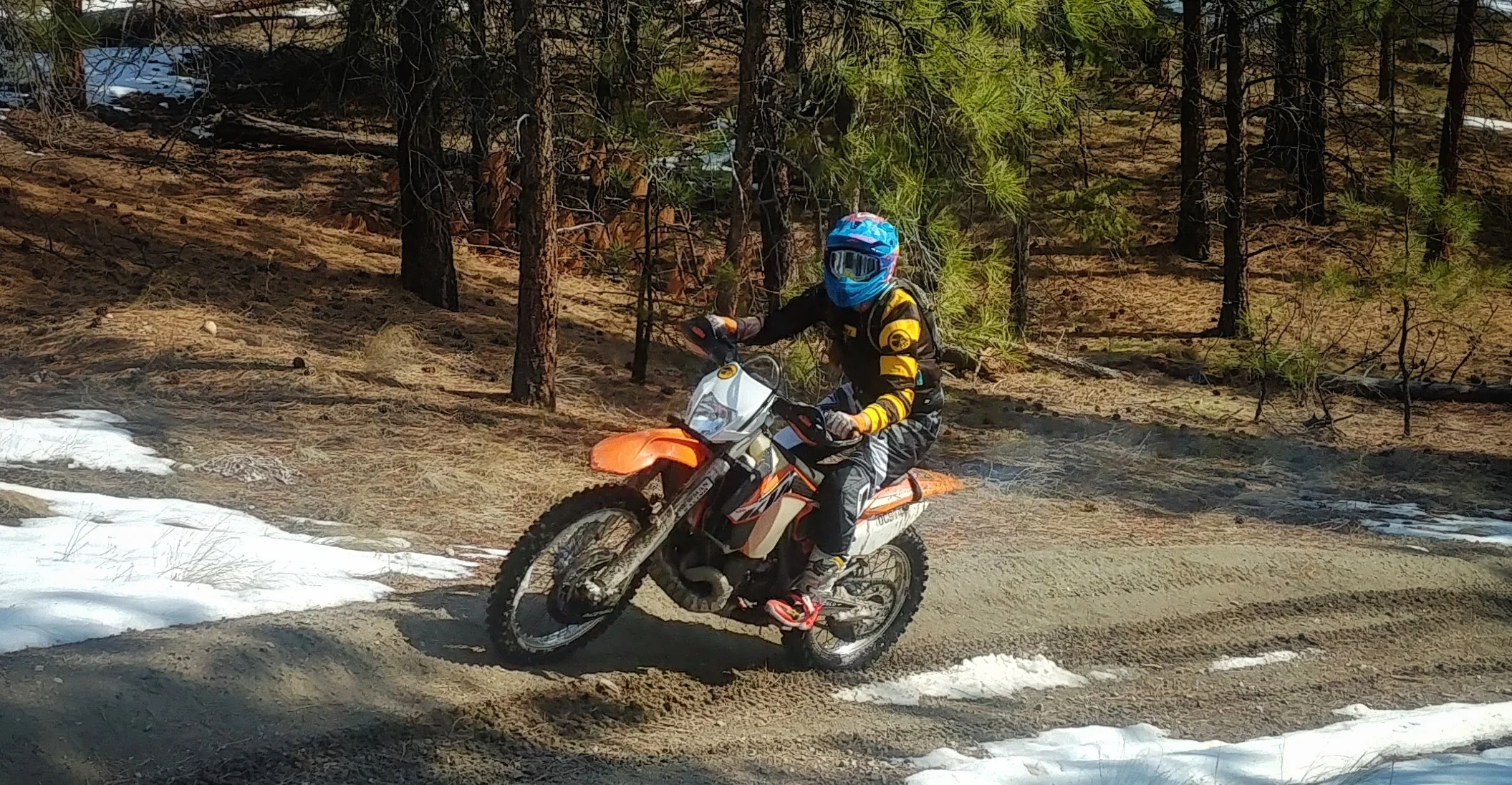 20190323_140826_HDR-1-01.jpeg