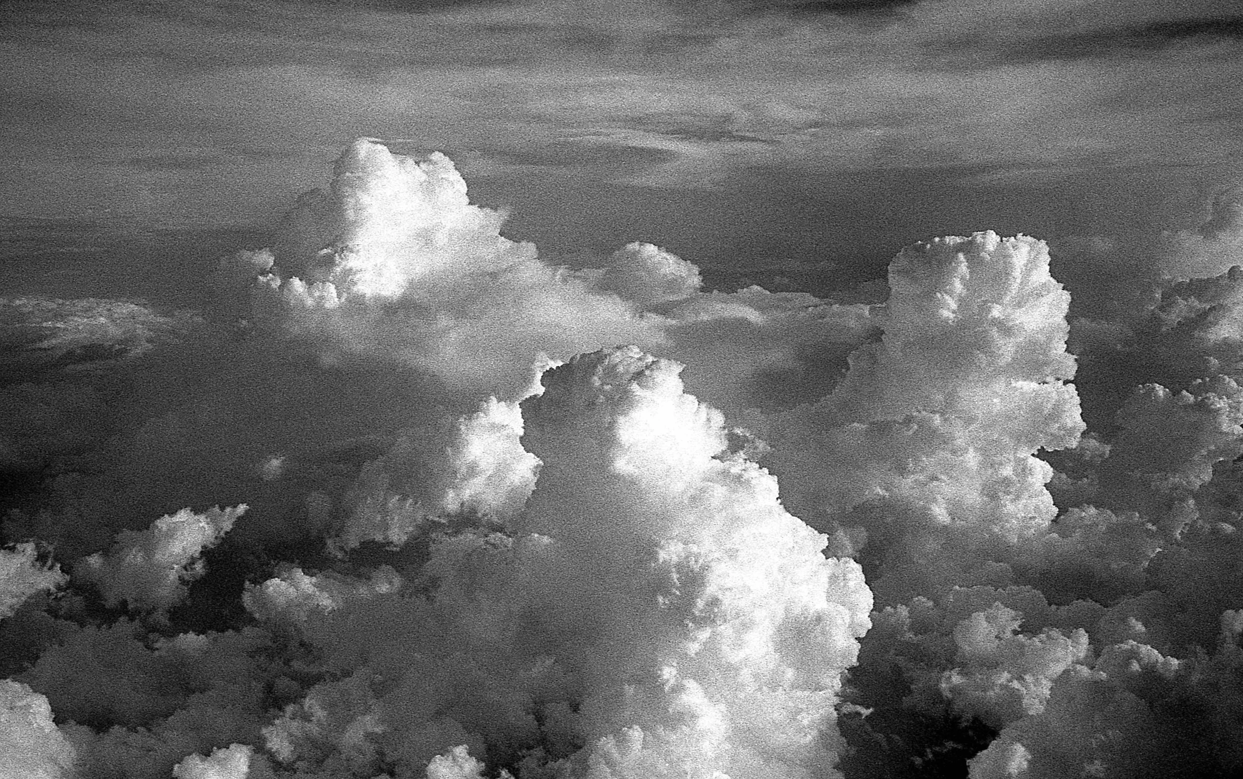 Kodak Tri-X 400