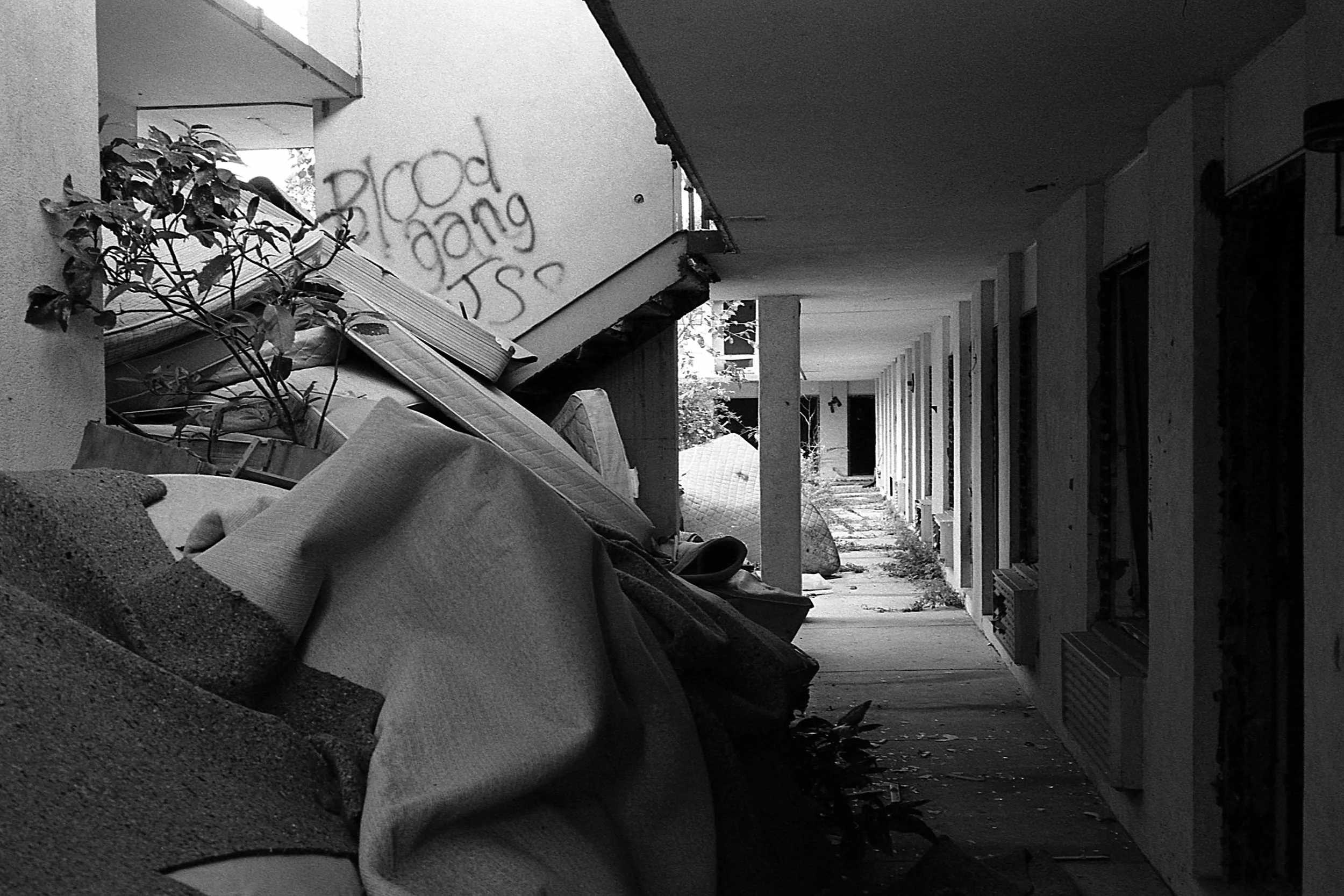 HP5024.jpeg